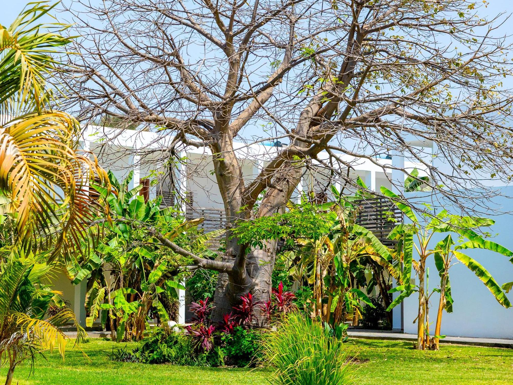 Tamala Beach Resort (Adults Only) Kotu Extérieur photo